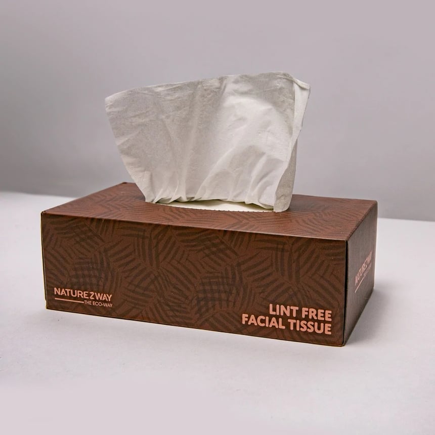 Naturezway Lint-Free Bamboo Facial Tissue, 2-Ply, 120 sheets, 30/boxes