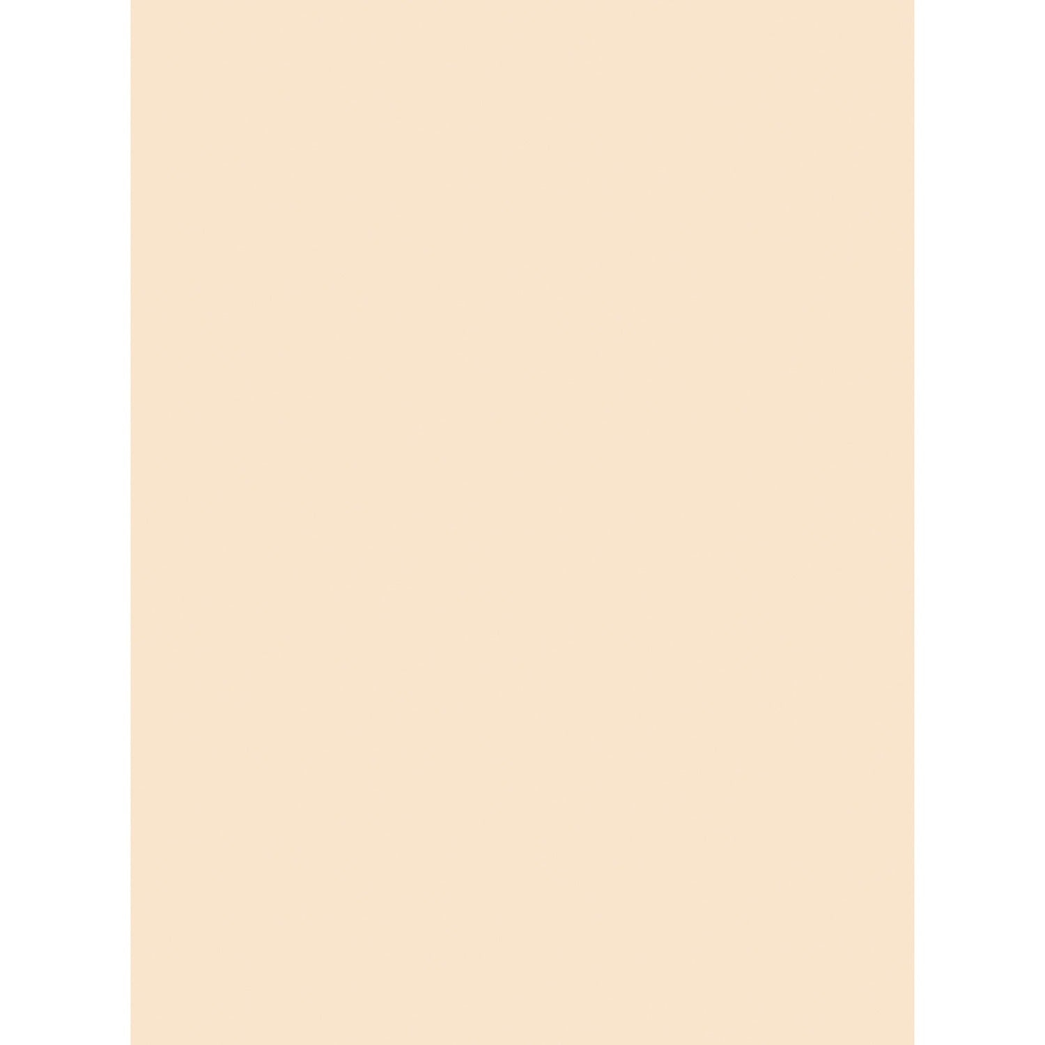 Pacon Medium Weight Tagboard Paper