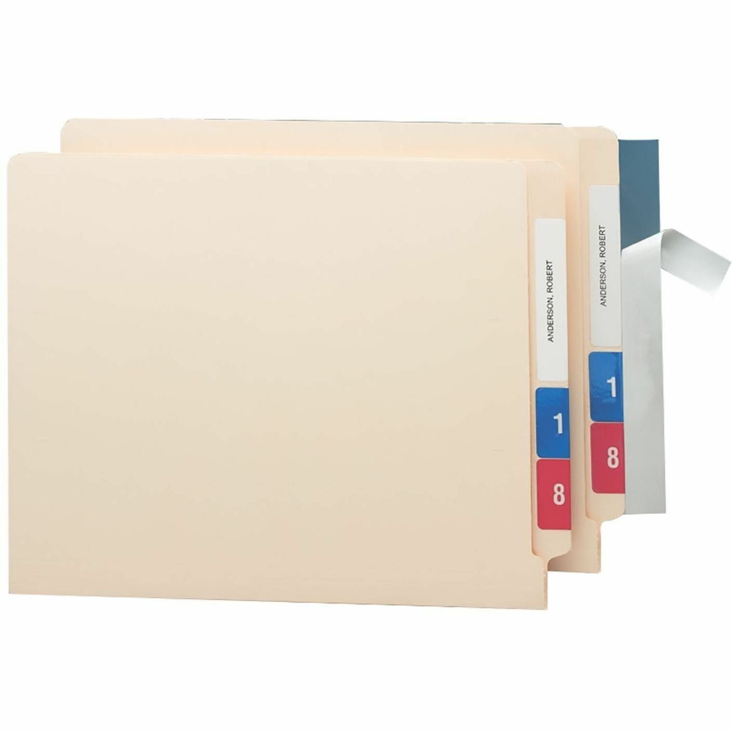Wholesale Clear Label Protectors: Discounts on Smead Seal and View&reg; Clear Label Protectors SMD67608