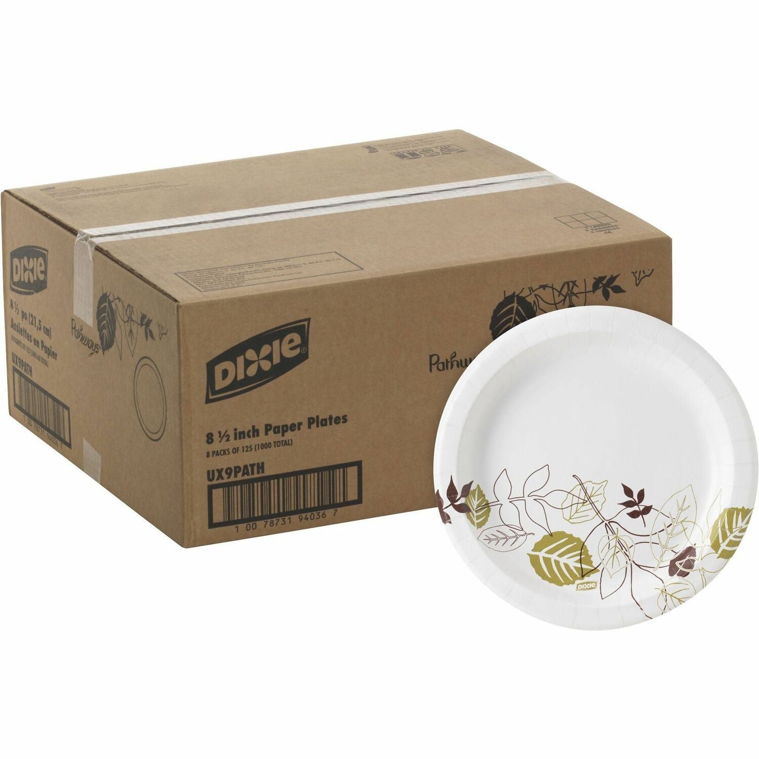 Wholesale Dixie Plates: Discounts on Dixie Pathways Design Everyday Paper Plates DXEUX9PATH