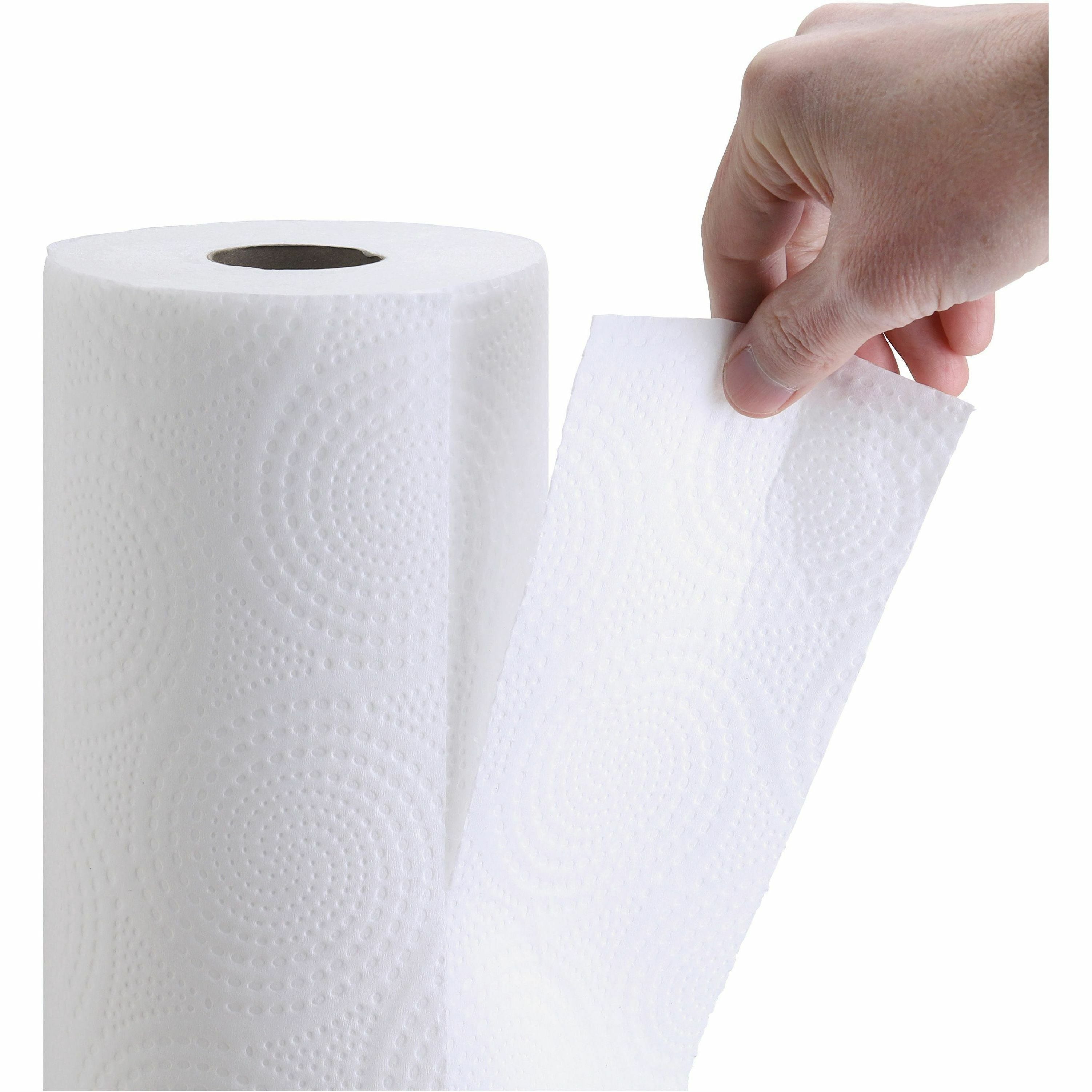 Wholesale Genuine Joe Paper Towels: Discounts on Genuine Joe 2-ply Household Roll Paper Towels GJO24081