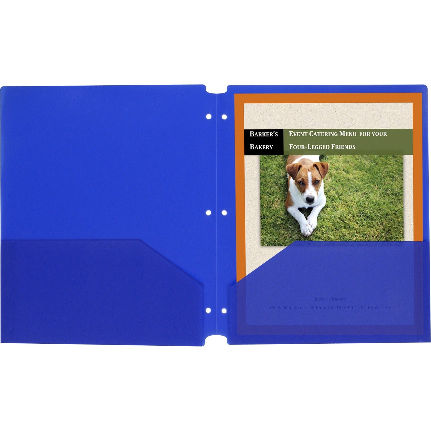 Two-Pocket Heavyweight Poly Portfolio Folder, 3-Hole Punch, Letter, Blue, 25/Box