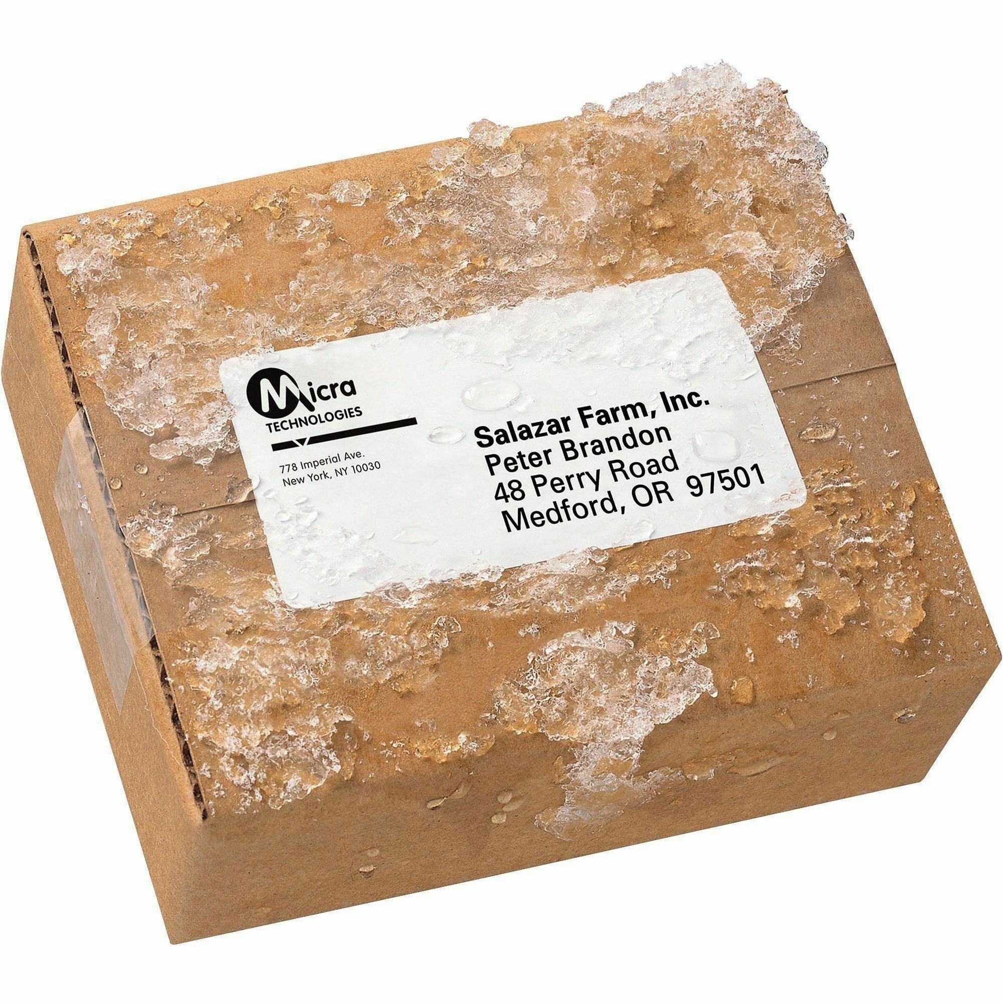 Wholesale Address & Mailing Labels: Discounts on Avery&reg WeatherProof Mailing Labels with TrueBlock Technology AVE95523