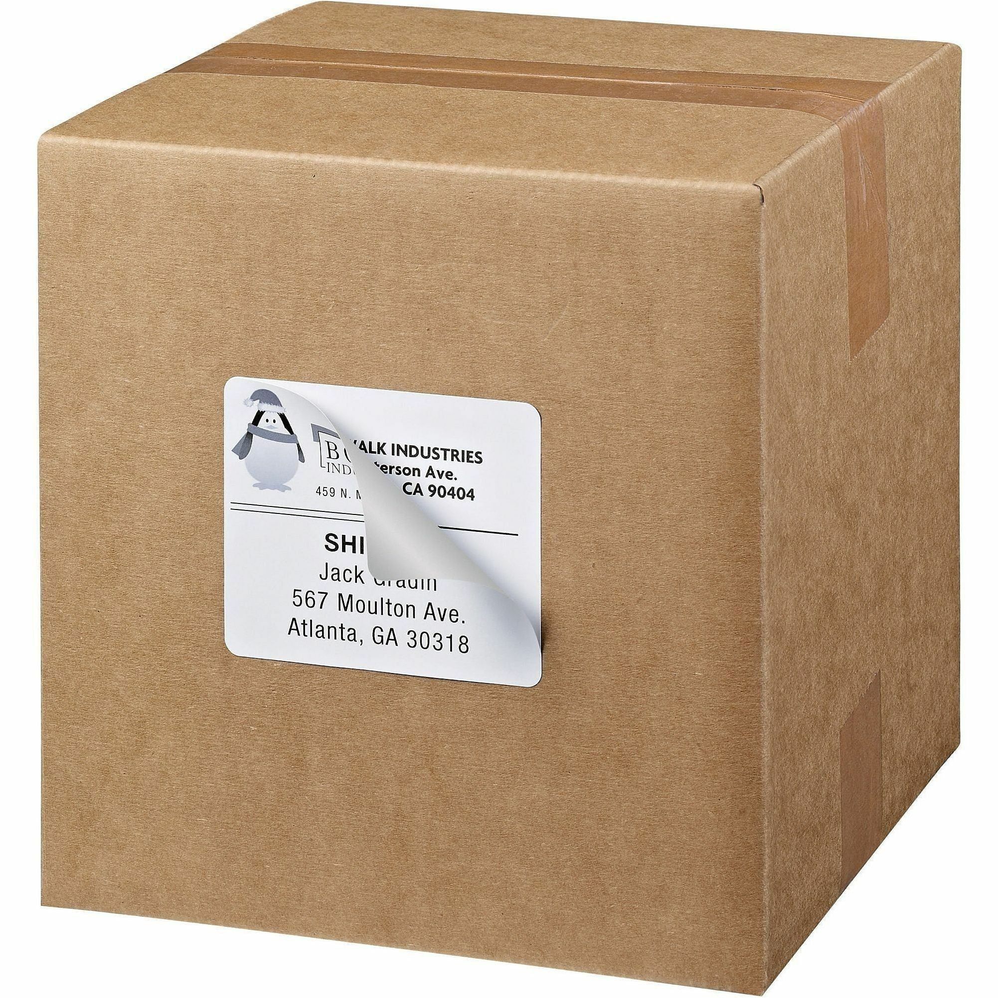 Avery TrueBlock Shipping Labels, Sure Feed Technology, Permanent Adhesive, 3-1/3" x 4", 60 Labels (15264)