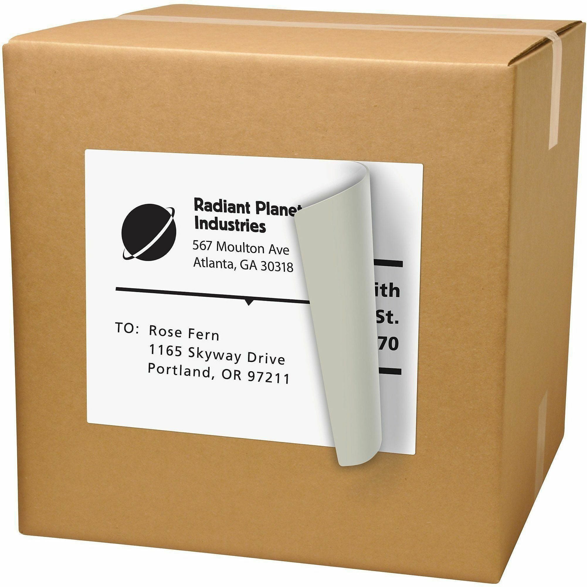 Avery Shipping Labels, TrueBlock Technology, Permanent Adhesive, 8-1/2" x 11", 10 Labels (15265)