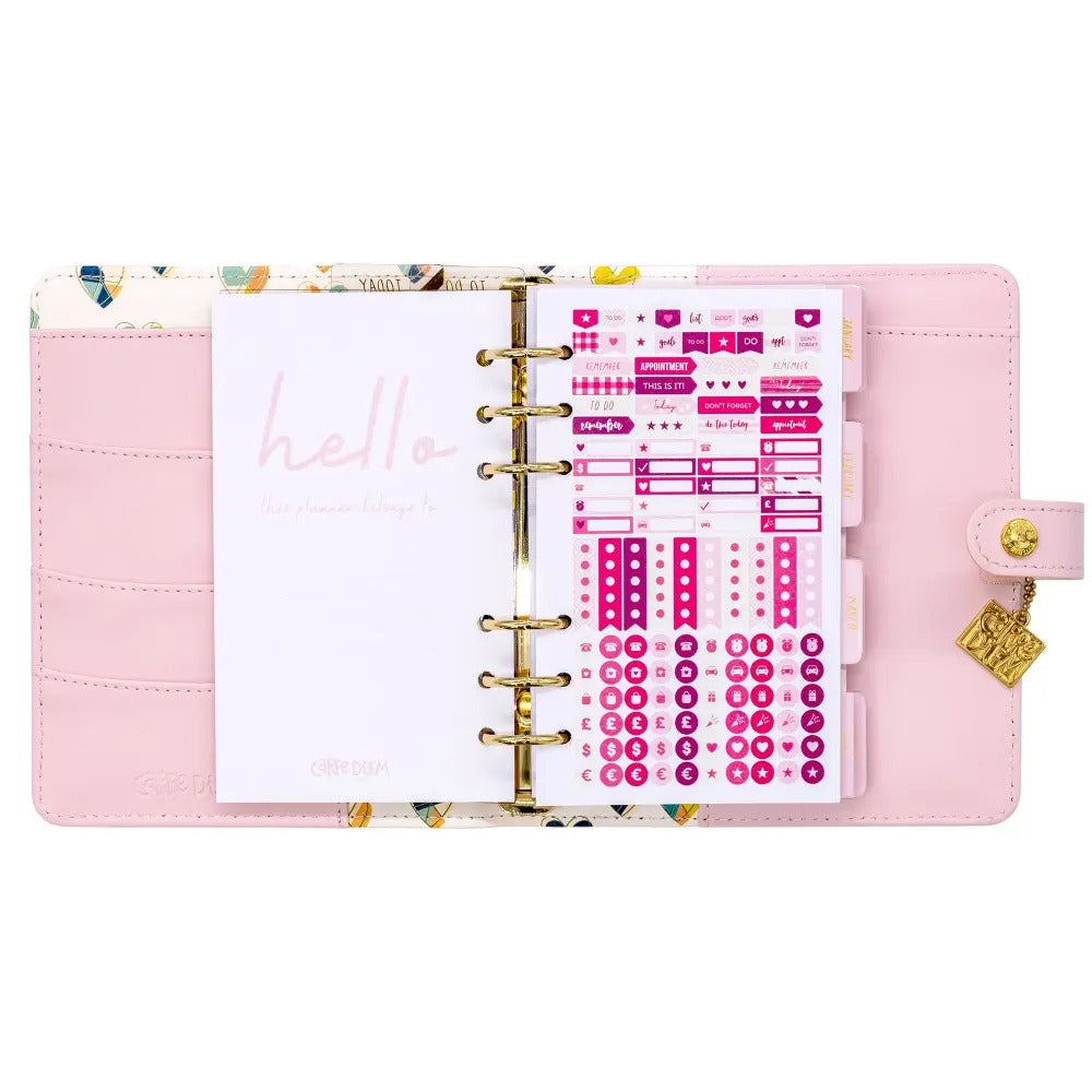 Ballerina Pink Personal Planner Box Set, Sold & Priced Individually