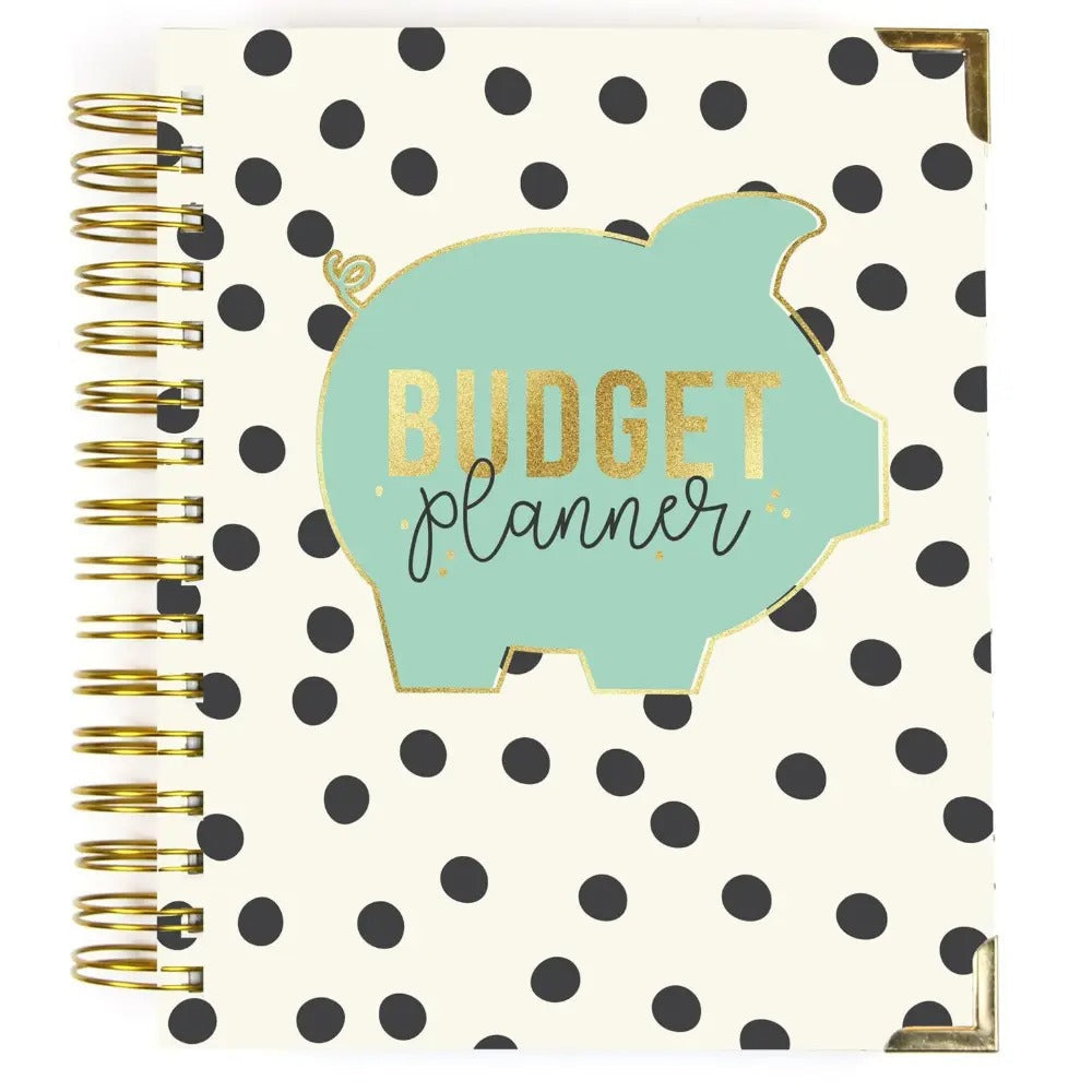 Budget 12 Month Spiral Planner, Sold & Priced Individually